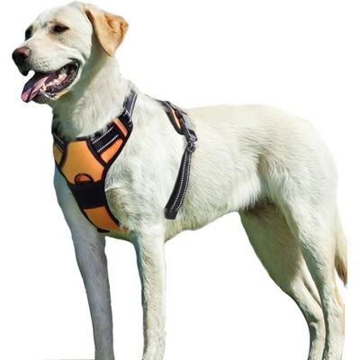 BIGILANTUH Harnais Chien S Harnais Anti Traction pour Chien Facile à Mettre avec Poignée Contrôle Arnet pour Chien Réfléchissant Orange - Publicité BIGILANTUH Harnais Chien S Harnais Anti Traction pour Chien Facile à Mettre avec Poignée Contrôle Arnet pour Chien Réfléchissant Orange - Publicité
