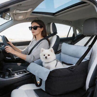 Housses de Siège dauto pour Chien - BingoPaw - Coussin de Voyage avec Rangements Sangle de Sécurité et Antidérapant - Noir Noir - Publicité Housses de Siège dauto pour Chien - BingoPaw - Coussin de Voyage avec Rangements Sangle de Sécurité et Antidérapant - Noir Noir - Publicité