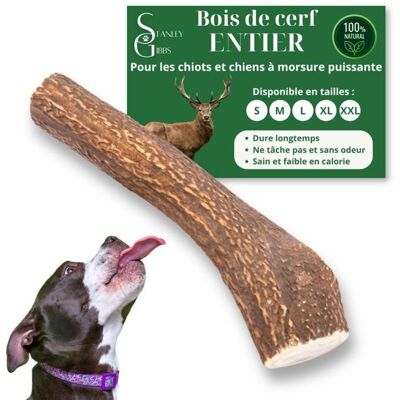 STANLEY GIBBS Bois de cerf pour Chien a Macher Entier Taille XL Friandise pour Chiots et Chiens de Tout ges Jouet Mastication 1 pice Marron - Publicité STANLEY GIBBS Bois de cerf pour Chien a Macher Entier Taille XL Friandise pour Chiots et Chiens de Tout ges Jouet Mastication 1 pice Marron - Publicité