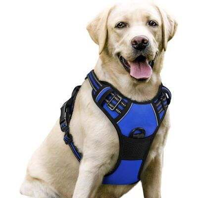 RABBITGOO Harnais Chien - Gilet pour chien- Bleu taille M -- Anti Traction Réglable Réfléchissant Matériau Respirant Bleu - Publicité RABBITGOO Harnais Chien - Gilet pour chien- Bleu taille M -- Anti Traction Réglable Réfléchissant Matériau Respirant Bleu - Publicité