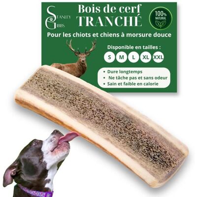 STANLEY GIBBS Bois de cerf pour Chien a Macher TRANCH Taille S Friandise pour Chiots et Chiens de Tout ges Jouet Mastication 1 pice Marron - Publicité STANLEY GIBBS Bois de cerf pour Chien a Macher TRANCH Taille S Friandise pour Chiots et Chiens de Tout ges Jouet Mastication 1 pice Marron - Publicité