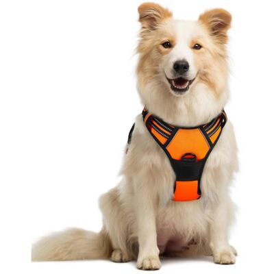Rabbitgoo Harnais Chien Harnais pour Chien- 38-71 cm taille M -- Anti Traction Réglable Réfléchissant Matériau Respirant Orange - Publicité Rabbitgoo Harnais Chien Harnais pour Chien- 38-71 cm taille M -- Anti Traction Réglable Réfléchissant Matériau Respirant Orange - Publicité