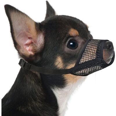 CMC Muselière en maille respirante pour chien adaptée aux petits chiens Chihuahuas permet de respirer et de boire de leau XS - Publicité CMC Muselière en maille respirante pour chien adaptée aux petits chiens Chihuahuas permet de respirer et de boire de leau XS - Publicité