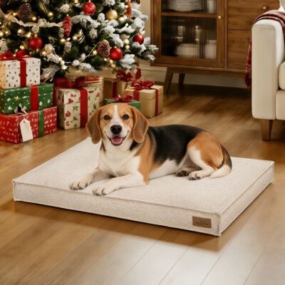Panier Chien Orthopédique - BingoPaw - Lit pour Chien Coussin Déhoussable pour Chiens Anti-dérapant - Kaki 88.5x59.5x10cm - Publicité Panier Chien Orthopédique - BingoPaw - Lit pour Chien Coussin Déhoussable pour Chiens Anti-dérapant - Kaki 88.5x59.5x10cm - Publicité