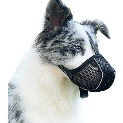 Muselière pour Chien Empêche de Mâcher/Manger/Mordre - Couvre Muselière Respirante Réfléchissante et Ajustable - Anti Morsure (L) - Publicité Muselière pour Chien Empêche de Mâcher/Manger/Mordre - Couvre Muselière Respirante Réfléchissante et Ajustable - Anti Morsure (L) - Publicité