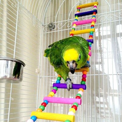 RYTTGOP Jouets pour Oiseaux pour Perroquet échelle balançoire Dressage Pont Arc-en-Ciel pour perroquets perruches Conures cokatoo - Publicité RYTTGOP Jouets pour Oiseaux pour Perroquet échelle balançoire Dressage Pont Arc-en-Ciel pour perroquets perruches Conures cokatoo - Publicité