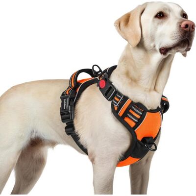 rabbitgoo Harnais Chien Anti Traction avec 3 boucles pour Chien Facile à Mettre Harnais Réfléchissant Réglable pour Chien orange L Orange - Publicité rabbitgoo Harnais Chien Anti Traction avec 3 boucles pour Chien Facile à Mettre Harnais Réfléchissant Réglable pour Chien orange L Orange - Publicité