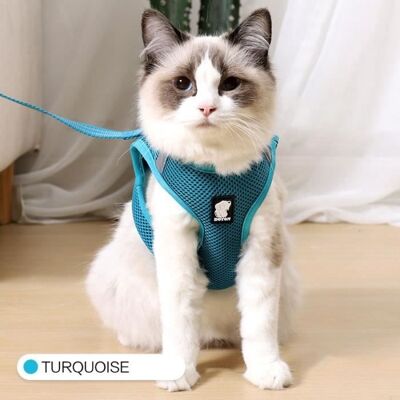 Harnais et laisse pour chat en maille réglable - Laisses Colliers - Type Turquoise-XS - Bleu Bleu - Publicité Harnais et laisse pour chat en maille réglable - Laisses Colliers - Type Turquoise-XS - Bleu Bleu - Publicité