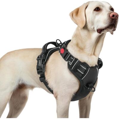 rabbitgoo Harnais Chien Anti Traction avec 3 boucles pour Chien Facile à Mettre Harnais Réfléchissant Réglable pour Chien Noir L Noir - Publicité rabbitgoo Harnais Chien Anti Traction avec 3 boucles pour Chien Facile à Mettre Harnais Réfléchissant Réglable pour Chien Noir L Noir - Publicité
