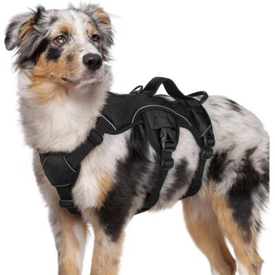 Rabbitgoo Harnais pour Chien avec Poignée de Levage Harnais Réglables pour Animaux de Compagnie Facile à Contrôler M Noir Noir - Publicité Rabbitgoo Harnais pour Chien avec Poignée de Levage Harnais Réglables pour Animaux de Compagnie Facile à Contrôler M Noir Noir - Publicité
