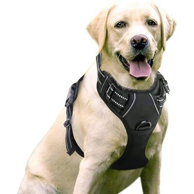 Harnais Chien Anti Traction Arnet pour Chiens avec Poignée Contrôl Facile à Mettre Harnais pour Chien Moyen Grand Noir L Noir - Publicité Harnais Chien Anti Traction Arnet pour Chiens avec Poignée Contrôl Facile à Mettre Harnais pour Chien Moyen Grand Noir L Noir - Publicité