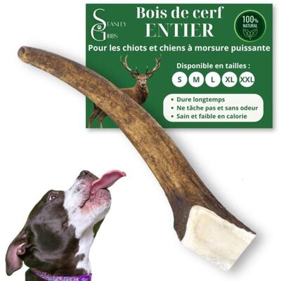 STANLEY GIBBS Bois de cerf pour Chien a Macher Entier Taille S Friandise pour Chiots et Chiens de Tout ges Jouet Mastication 1 pice Marron - Publicité STANLEY GIBBS Bois de cerf pour Chien a Macher Entier Taille S Friandise pour Chiots et Chiens de Tout ges Jouet Mastication 1 pice Marron - Publicité
