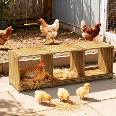 Pondoir pour poules 3 emplacements nichoir en Bois - BingoPaw - Nichoir à poules - 105x30x36cm - Publicité Pondoir pour poules 3 emplacements nichoir en Bois - BingoPaw - Nichoir à poules - 105x30x36cm - Publicité