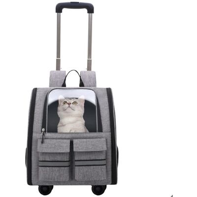 XINXU Sac à roulettes pour Chat et Chien - Gris - Pliable - Hauteur Ajustable - 3-en-1 - Respirant Gris - Publicité XINXU Sac à roulettes pour Chat et Chien - Gris - Pliable - Hauteur Ajustable - 3-en-1 - Respirant Gris - Publicité