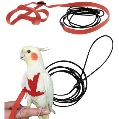 Harnais pour oiseaux - Gossfen - réglable conception anti-morsure adapté à lentraînement extérieur des perroquets petites perruch - Publicité Harnais pour oiseaux - Gossfen - réglable conception anti-morsure adapté à lentraînement extérieur des perroquets petites perruch - Publicité