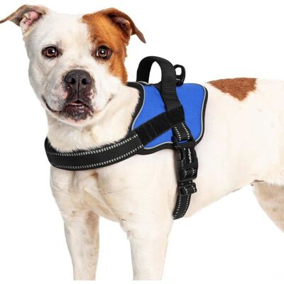RABBITGOO Harnais Chien Harnais Anti Traction pour Chien Réfléchissant Réglable Respirant Facile à Mettre avec Poignée Contrôle Bleu L Bleu - Publicité RABBITGOO Harnais Chien Harnais Anti Traction pour Chien Réfléchissant Réglable Respirant Facile à Mettre avec Poignée Contrôle Bleu L Bleu - Publicité