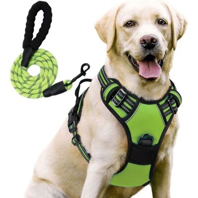 YIOU Harnais pour Chien Anti Traction Réglable Respirant Réfléchissant avec Laisse 15M - Vert S Vert - Publicité YIOU Harnais pour Chien Anti Traction Réglable Respirant Réfléchissant avec Laisse 15M - Vert S Vert - Publicité