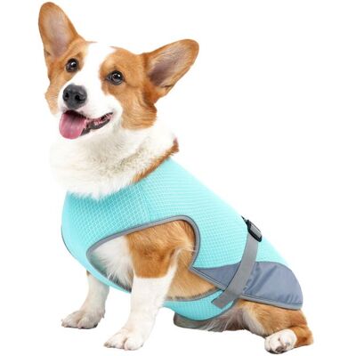 OMABETA Gilet de refroidissement pour chien Gilet rafraîchissant pour chien veste rafraîchissante animalerie robe Bleu S Bleu - Publicité OMABETA Gilet de refroidissement pour chien Gilet rafraîchissant pour chien veste rafraîchissante animalerie robe Bleu S Bleu - Publicité