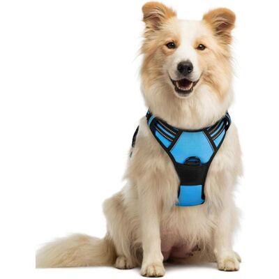 Rabbitgoo Harnais Chien Réglable Gilet Chien avec Poignée Contrôle Harnais Réfléchissant Matériau Respirante Durable-Bleu Clair-M Bleu - Publicité Rabbitgoo Harnais Chien Réglable Gilet Chien avec Poignée Contrôle Harnais Réfléchissant Matériau Respirante Durable-Bleu Clair-M Bleu - Publicité