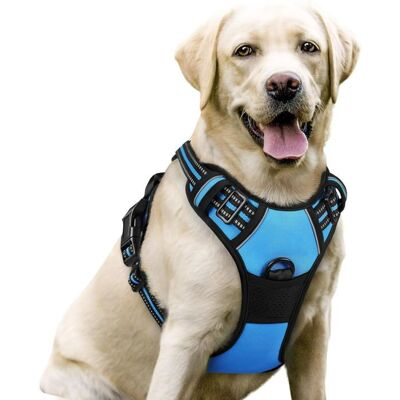 Rabbitgoo Harnais Chien Réglable Gilet Chien avec Poignée Contrôle Harnais Réfléchissant Matériau Respirante Durable-Bleu Clair-L Bleu - Publicité Rabbitgoo Harnais Chien Réglable Gilet Chien avec Poignée Contrôle Harnais Réfléchissant Matériau Respirante Durable-Bleu Clair-L Bleu - Publicité