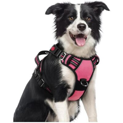 rabbitgoo Harnais Chien Anti Traction avec 3 boucles pour Chien Facile à Mettre Harnais Réfléchissant Réglable pour Chien Rose M Rose - Publicité rabbitgoo Harnais Chien Anti Traction avec 3 boucles pour Chien Facile à Mettre Harnais Réfléchissant Réglable pour Chien Rose M Rose - Publicité