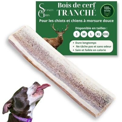 STANLEY GIBBS Bois de cerf pour Chien a Macher TRANCH Taille M Friandise pour Chiots et Chiens de Tout ges Jouet Mastication 1 pice Marron - Publicité STANLEY GIBBS Bois de cerf pour Chien a Macher TRANCH Taille M Friandise pour Chiots et Chiens de Tout ges Jouet Mastication 1 pice Marron - Publicité