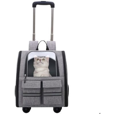 Sac à roulettes - ZEAICOS - Sac Transport Chat Chien - Pliable - Hauteur Ajustable - Respirant Gris - Publicité Sac à roulettes - ZEAICOS - Sac Transport Chat Chien - Pliable - Hauteur Ajustable - Respirant Gris - Publicité