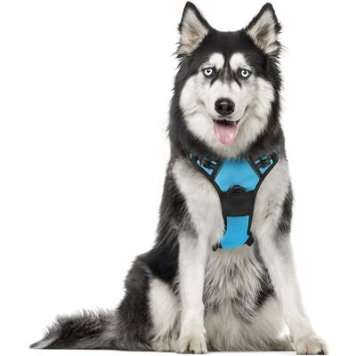 Rabbitgoo Harnais Chien Réglable Gilet Chien avec Poignée Contrôle Harnais Réfléchissant Matériau Respirante Durable-Bleu Clair-XL Bleu - Publicité Rabbitgoo Harnais Chien Réglable Gilet Chien avec Poignée Contrôle Harnais Réfléchissant Matériau Respirante Durable-Bleu Clair-XL Bleu - Publicité