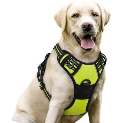RABBITGOO Harnais Chien Harnais pour Chien anti-traction/ Gilet pour chien- Vert taille XL -- Réglable Réfléchissant Matériau Respirant Vert - Publicité RABBITGOO Harnais Chien Harnais pour Chien anti-traction/ Gilet pour chien- Vert taille XL -- Réglable Réfléchissant Matériau Respirant Vert - Publicité