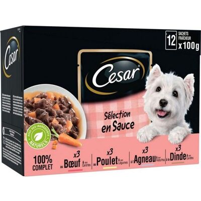 CESAR Chiens Sachet Repas 12x100g - Publicité CESAR Chiens Sachet Repas 12x100g - Publicité