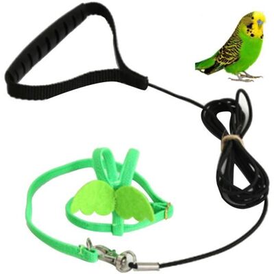Laisse de harnais pour oiseaux de compagnie - VVIKIZY - 2 m - Vert - Conception anti-évasion - Coton doux Vert - Publicité Laisse de harnais pour oiseaux de compagnie - VVIKIZY - 2 m - Vert - Conception anti-évasion - Coton doux Vert - Publicité