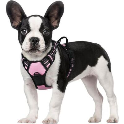 rabbitgoo Harnais Chien S Arnais Rose Anti Traction Réfléchissant Gilet Réglable pour Chien Attache Devant Crochet de Laisse Rose - Publicité rabbitgoo Harnais Chien S Arnais Rose Anti Traction Réfléchissant Gilet Réglable pour Chien Attache Devant Crochet de Laisse Rose - Publicité