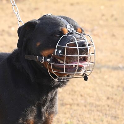 Muselière pour Rottweiler - Ajustable - Respirante - Résistante - Argenté - Publicité Muselière pour Rottweiler - Ajustable - Respirante - Résistante - Argenté - Publicité