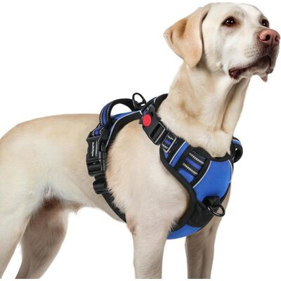 rabbitgoo Harnais Chien Anti Traction avec 3 boucles pour Chien Facile à Mettre Harnais Réfléchissant Réglable pour Chien Bleu L Bleu - Publicité rabbitgoo Harnais Chien Anti Traction avec 3 boucles pour Chien Facile à Mettre Harnais Réfléchissant Réglable pour Chien Bleu L Bleu - Publicité