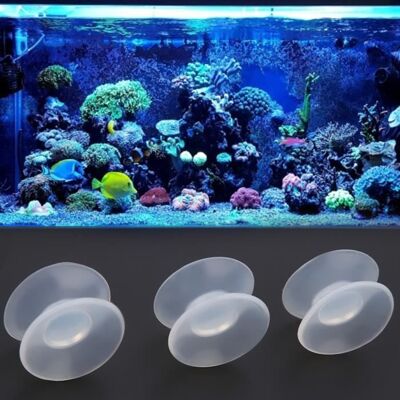 ZERODIS 10pcs ventouses à double face en silicone pour aquarium en verre de réservoir de poissons HB017 - Publicité ZERODIS 10pcs ventouses à double face en silicone pour aquarium en verre de réservoir de poissons HB017 - Publicité