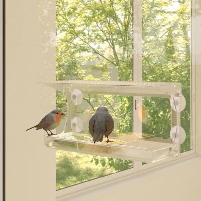 Nourrisseurs d'oiseaux pour fenêtres vidaXL - Mangeoires - Publicité Nourrisseurs d'oiseaux pour fenêtres vidaXL - Mangeoires - Publicité
