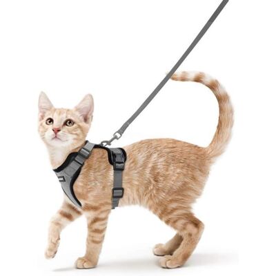 Rabbitgoo Harnais Chat- Harnais Petit Chien avec Laisse Harnais Chaton Réglable Respirant Refléchissant S-Gris Gris - Publicité Rabbitgoo Harnais Chat- Harnais Petit Chien avec Laisse Harnais Chaton Réglable Respirant Refléchissant S-Gris Gris - Publicité
