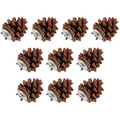RWOYTHK Lot de 10 pommes de pin à mâcher pour oiseaux - Jouet naturel à mâcher pour perruches calopsittes conures pinsons perruches Marron - Publicité RWOYTHK Lot de 10 pommes de pin à mâcher pour oiseaux - Jouet naturel à mâcher pour perruches calopsittes conures pinsons perruches Marron - Publicité