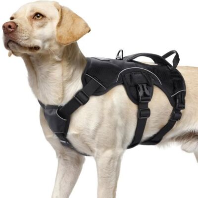 Rabbitgoo Harnais pour Chien avec Poignée de Levage Harnais Réglables pour Animaux de Compagnie Facile à Contrôler L Noir Noir - Publicité Rabbitgoo Harnais pour Chien avec Poignée de Levage Harnais Réglables pour Animaux de Compagnie Facile à Contrôler L Noir Noir - Publicité