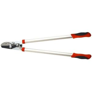 Coupe-branches OZAKI à Lame enclume - JARDIN PRATIQUE - Pour bois dur - Ø de coupe 38 mm Gris - Publicité Coupe-branches OZAKI à Lame enclume - JARDIN PRATIQUE - Pour bois dur - Ø de coupe 38 mm Gris - Publicité