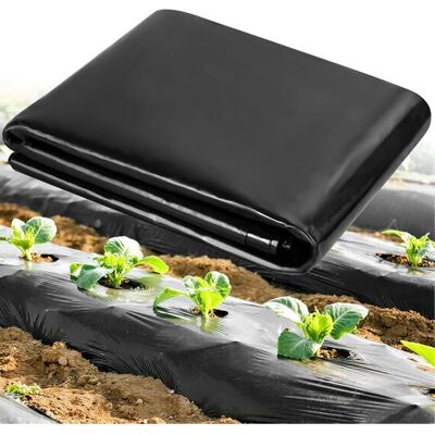 Bâche En Polyéthylène Noire Très Résistante Housse En Plastique Imperméable Extra Épaisse Membrane Horticole Garden Grow Pour Ja Noir - Publicité Bâche En Polyéthylène Noire Très Résistante Housse En Plastique Imperméable Extra Épaisse Membrane Horticole Garden Grow Pour Ja Noir - Publicité