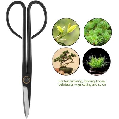 SURENHAP Ciseaux de bonsaï 205 mm de long manche à poignées ciseaux de taille jardin outil - Publicité SURENHAP Ciseaux de bonsaï 205 mm de long manche à poignées ciseaux de taille jardin outil - Publicité