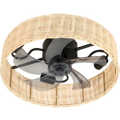Ventilateur - Plafonnier - FARELEK - Alyzia 40 cm - Moteur DC - Publicité Ventilateur - Plafonnier - FARELEK - Alyzia 40 cm - Moteur DC - Publicité