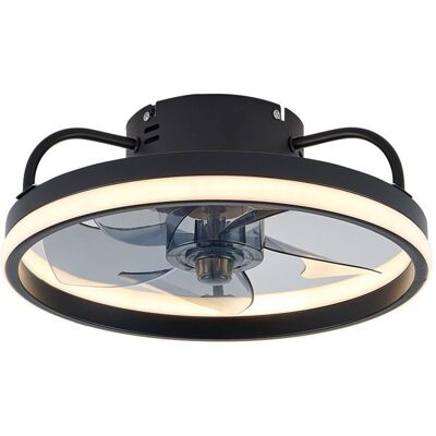 UVERBON Ventilateur de plafond 55 W 6 vitesses de ventilation 3 températures de couleur avec télécommande minuterie silencieux noir Noir - Publicité UVERBON Ventilateur de plafond 55 W 6 vitesses de ventilation 3 températures de couleur avec télécommande minuterie silencieux noir Noir - Publicité