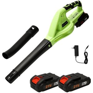 PRUMYA Souffleur de Feuilles Sans Fil 3000W - 2 Batterie 21V 2 Vitesses (150 MPH) - Léger et Silencieux - pour Jardin - vert Vert - Publicité PRUMYA Souffleur de Feuilles Sans Fil 3000W - 2 Batterie 21V 2 Vitesses (150 MPH) - Léger et Silencieux - pour Jardin - vert Vert - Publicité