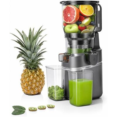 AMZCHEF Extracteur de Jus à Froid pour Fruits et Légumes Grande Ouverture 150mm 250W Triple Filtre Capacité 2L Gris Gris - Publicité AMZCHEF Extracteur de Jus à Froid pour Fruits et Légumes Grande Ouverture 150mm 250W Triple Filtre Capacité 2L Gris Gris - Publicité