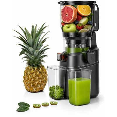 AMZCHEF Extracteur de Jus à Froid pour Fruits et Légumes Grande Ouverture 150mm 250W Triple Filtre Capacité 2L Noir Noir - Publicité AMZCHEF Extracteur de Jus à Froid pour Fruits et Légumes Grande Ouverture 150mm 250W Triple Filtre Capacité 2L Noir Noir - Publicité