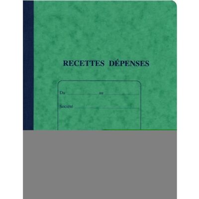 ELVE RECETTES DEPENSES 220X170 80 P PIQURE - Publicité ELVE RECETTES DEPENSES 220X170 80 P PIQURE - Publicité