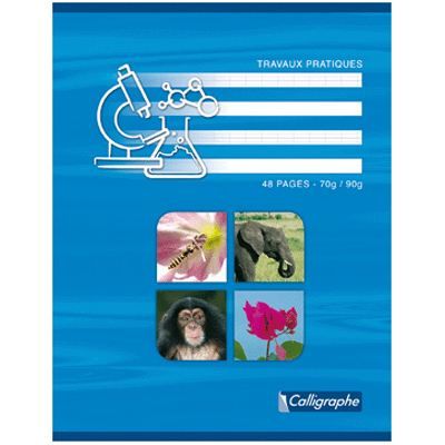 CALLIGRAPHE Cahier travaux pratiques piqures 17x22 64p - Publicité CALLIGRAPHE Cahier travaux pratiques piqures 17x22 64p - Publicité