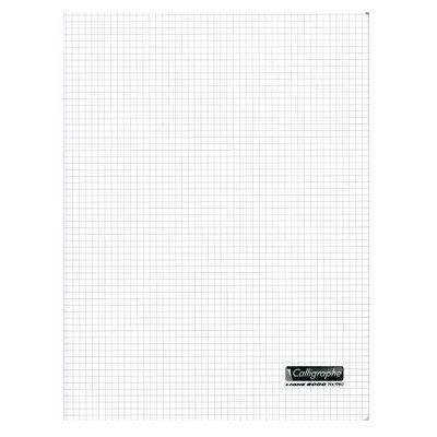 Cahier piqué - CLAIREFONTAINE - 8000 POLYPRO - 24x32 cm - 192 pages - Petits carreaux 5x5 Blanc - Publicité Cahier piqué - CLAIREFONTAINE - 8000 POLYPRO - 24x32 cm - 192 pages - Petits carreaux 5x5 Blanc - Publicité